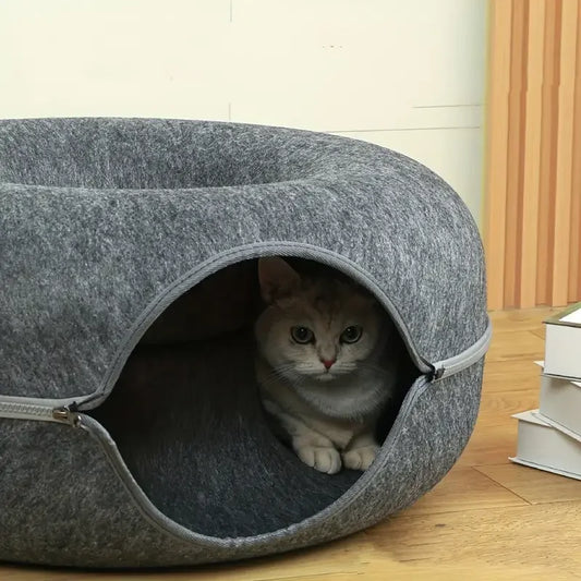 Cats Tunnel