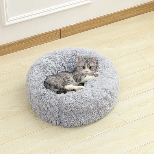 Soft Dogs Bed