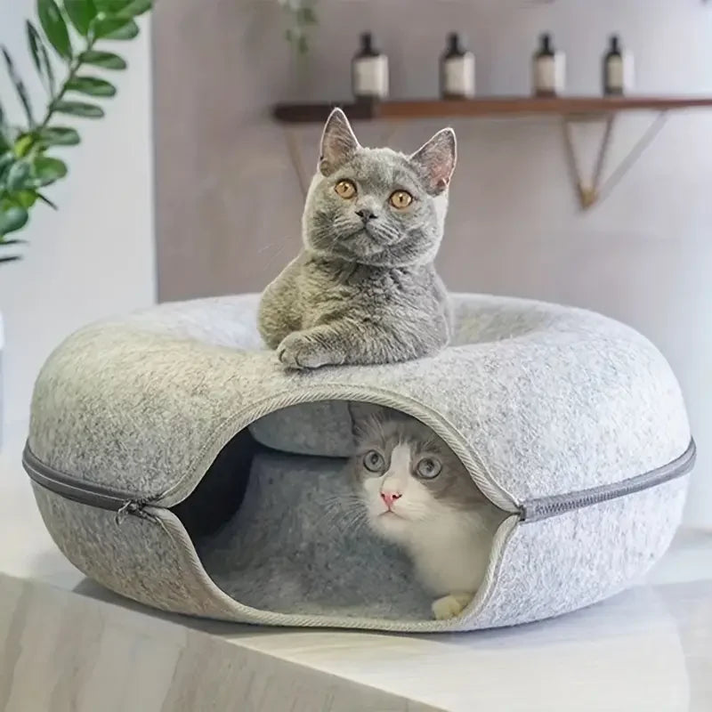 Cats Tunnel